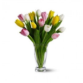 15 tulipes mélangées